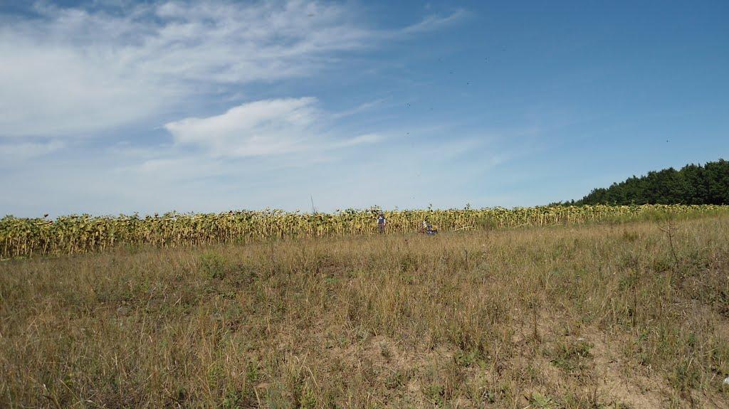 Хрустальний з panoramio.com - Хрустальний