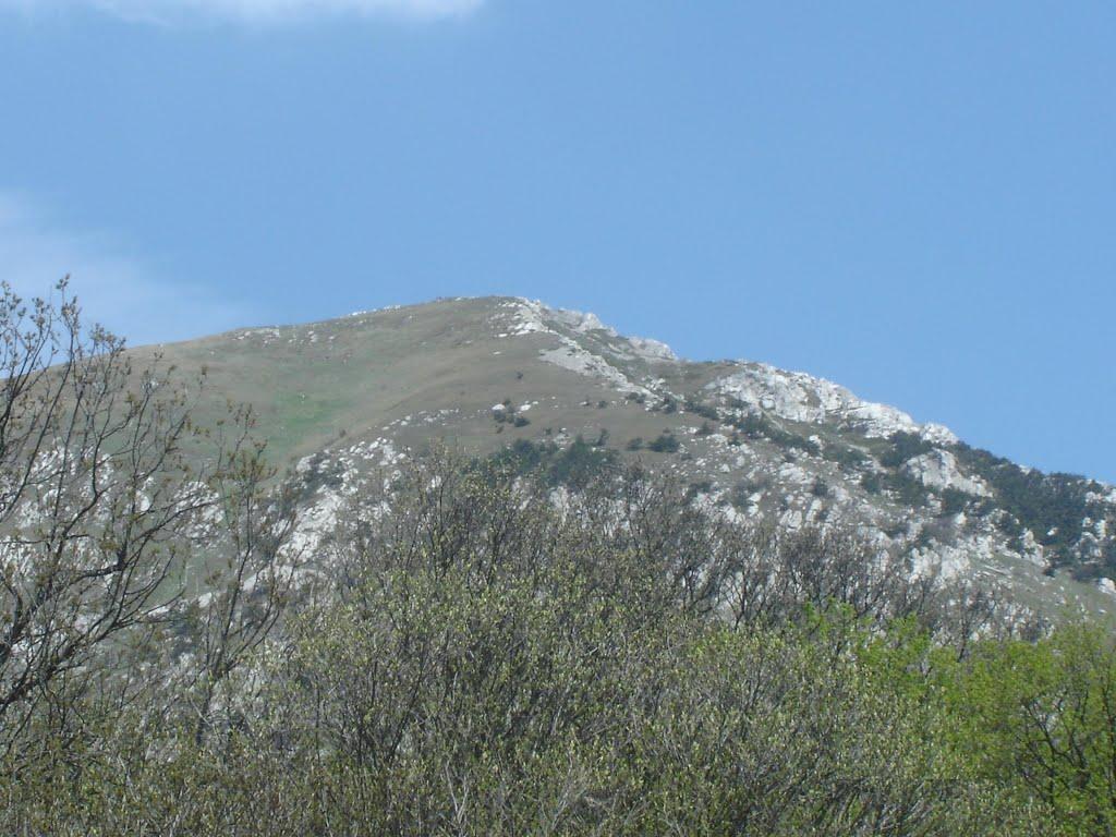 Розовий з panoramio.com (ч.2) - Розовий