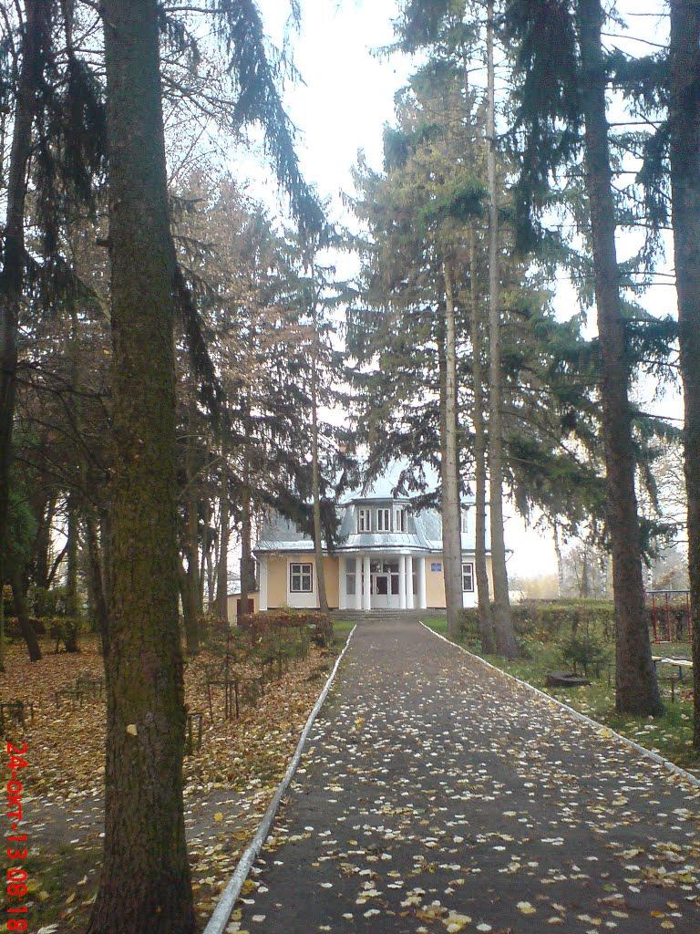 Лопатин з panoramio.com - Лопатин