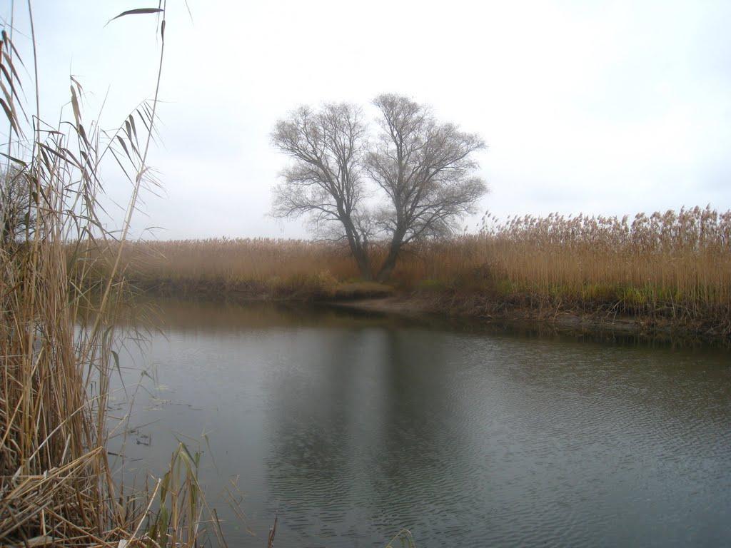 Горошине з panoramio.com - Горошине