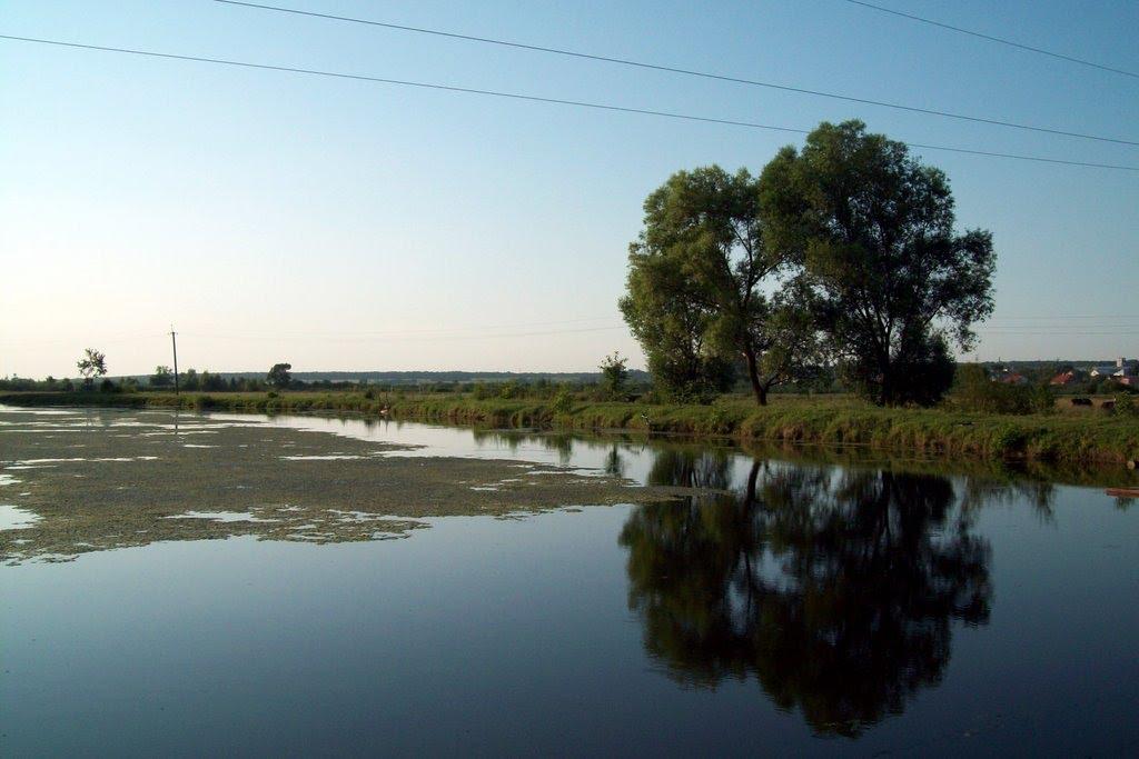 Пустомити з panoramio.com - Pustomyty