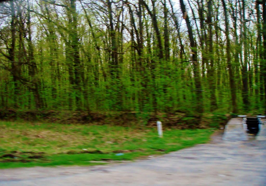 Смільчинці з panoramio.com - Смельчинцы