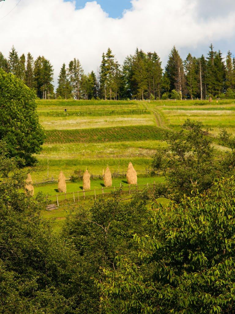 Воловець з panoramio.com - Воловец