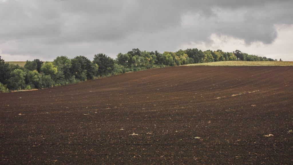 Луканівка з panoramio.com - Луканівка