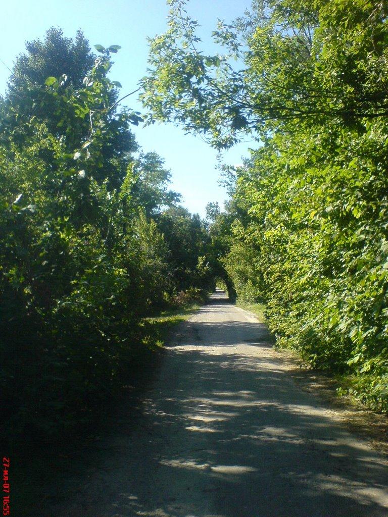 Бочечки з panoramio.com - Бочечки