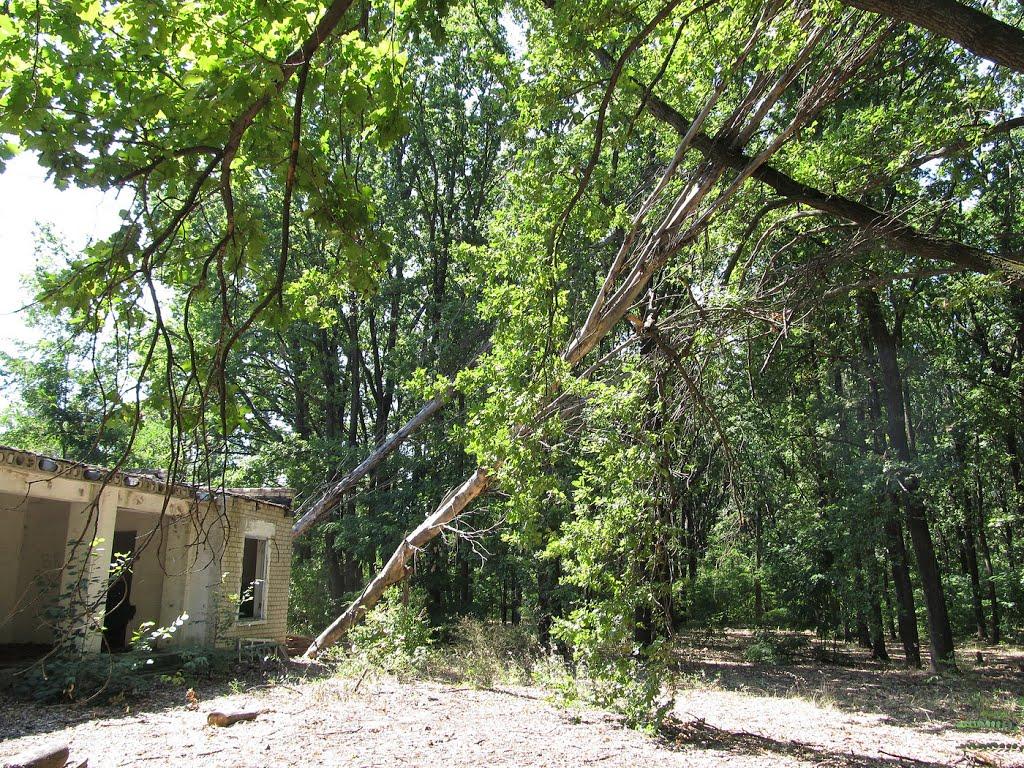 Інгулець з panoramio.com - Ингулец