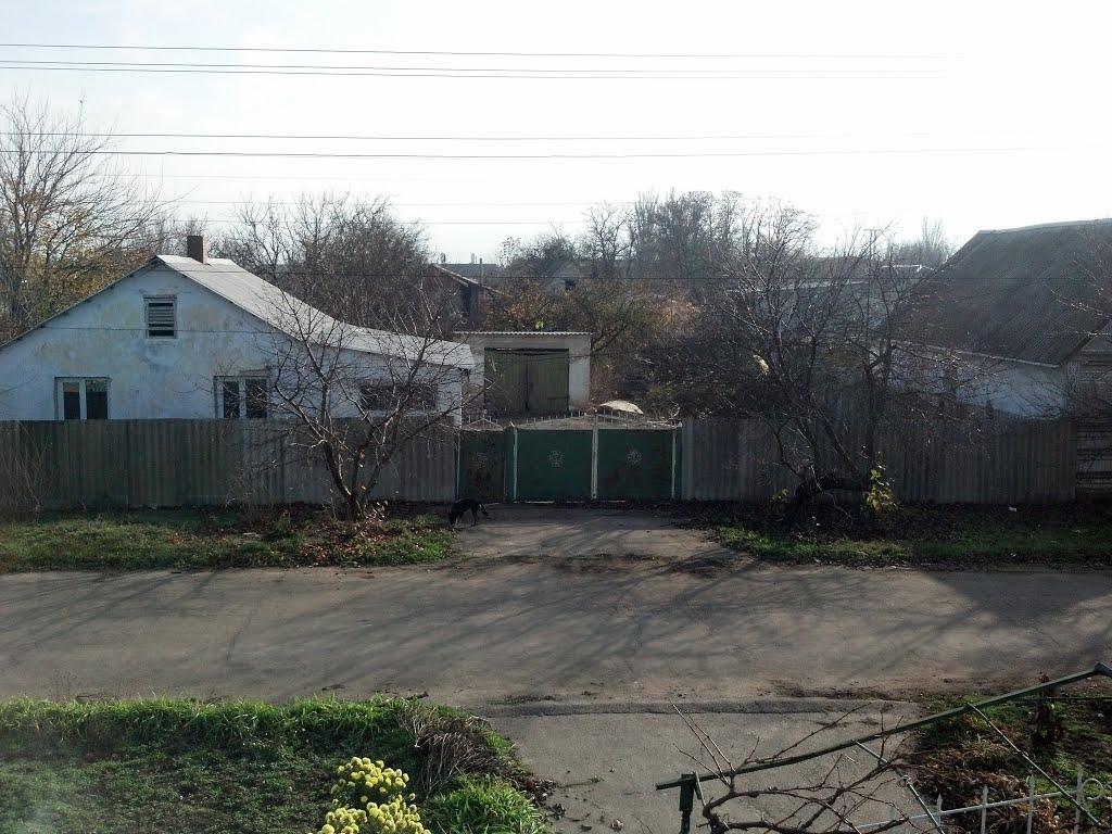 Миколаївське з panoramio.com - Николаевское