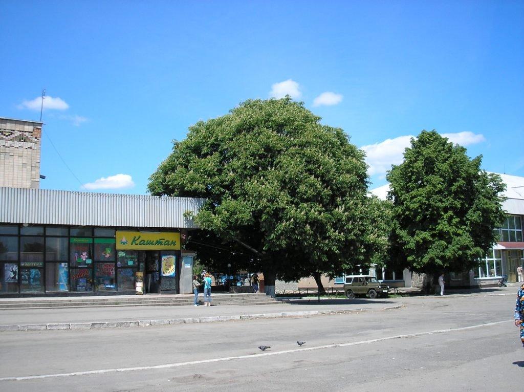 Маньківка з panoramio.com - Маньківка