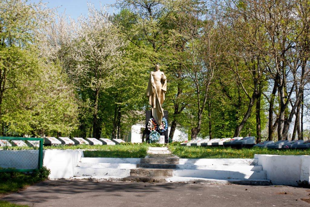 Ялтушків з panoramio.com - Ялтушків