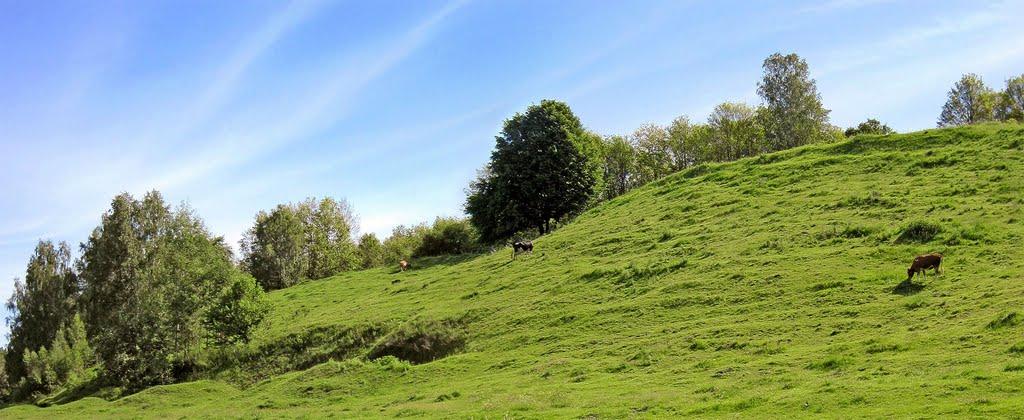 Колодяжне з panoramio.com - Колодяжне