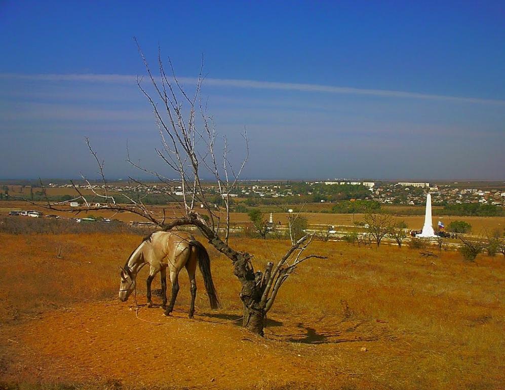 Віліне з panoramio.com - Viline