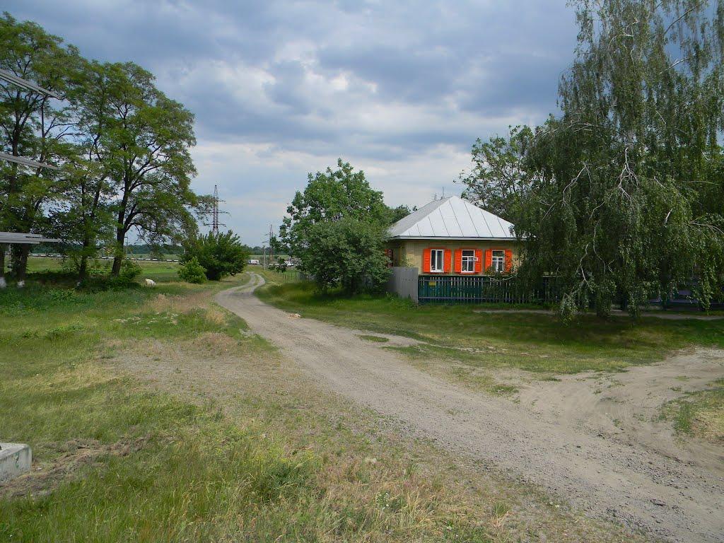 Білозір'я з panoramio.com - Белозерье