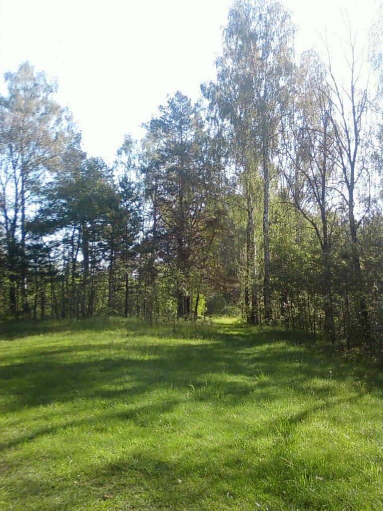 Свеса з panoramio.com - Свесса
