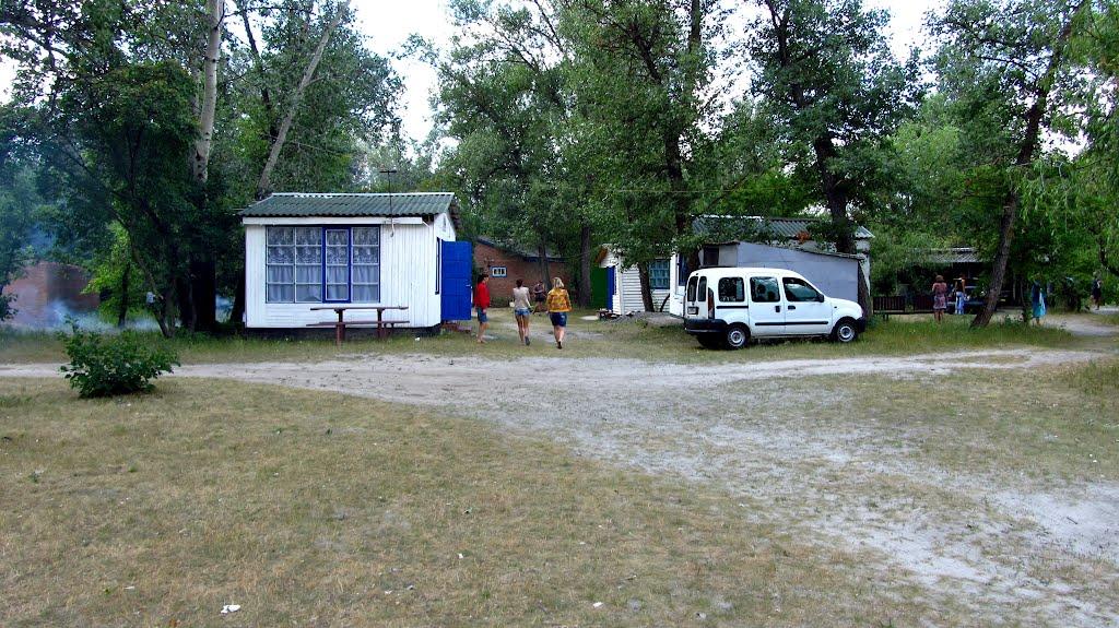 Кияшки з panoramio.com - Кияшки
