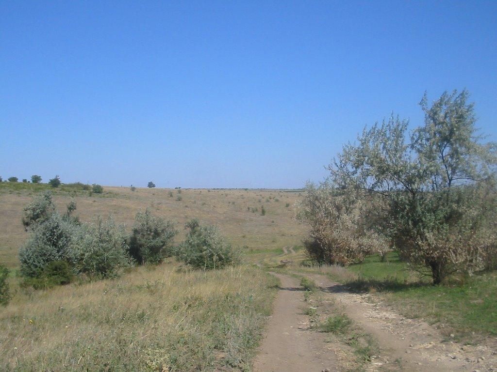 Вигода з panoramio.com - Вигода