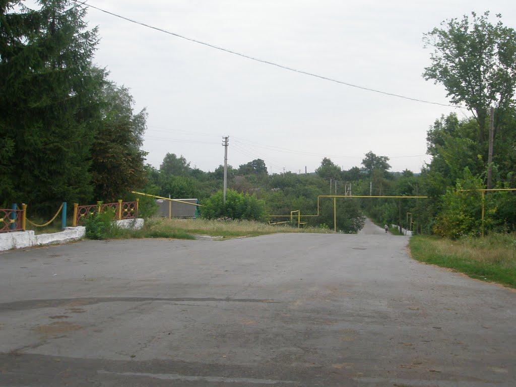 Гулянка з panoramio.com - Гулянка