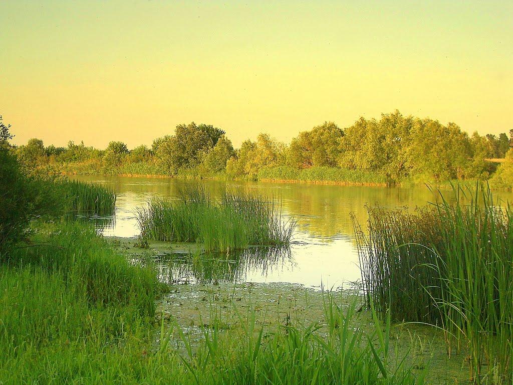 Бузьке з panoramio.com - Бугское