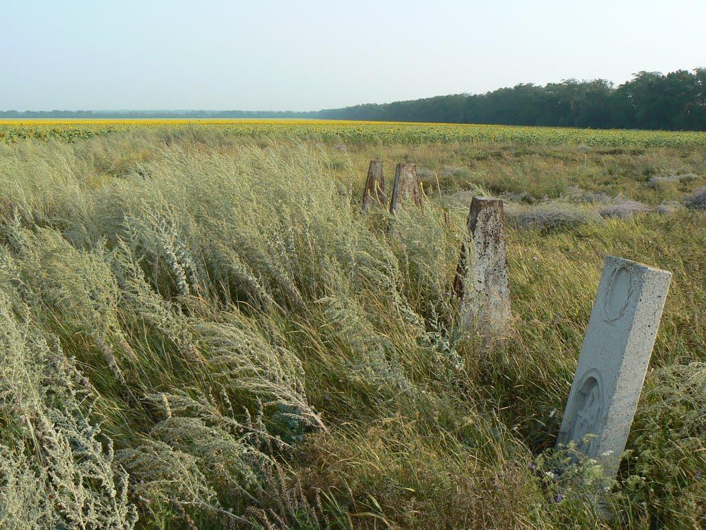 Верхівка з panoramio.com - Верхівка