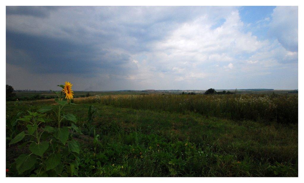 Нововолинськ з panoramio.com - Нововолинськ