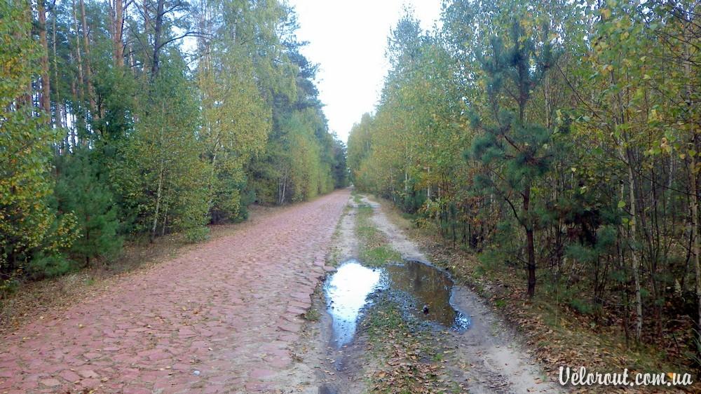 Малахівка з panoramio.com - Малахівка