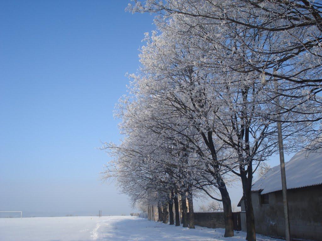 Репужинці з panoramio.com - Репужинці