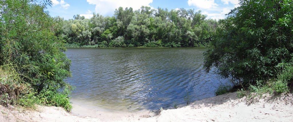 Кияшки з panoramio.com - Кияшки