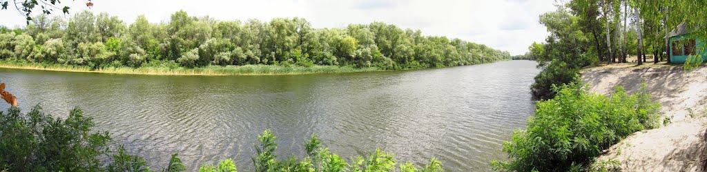 Кияшки з panoramio.com - Кияшки
