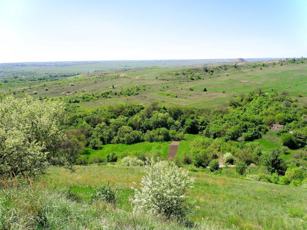 Селезнівка з panoramio.com - Селезневка