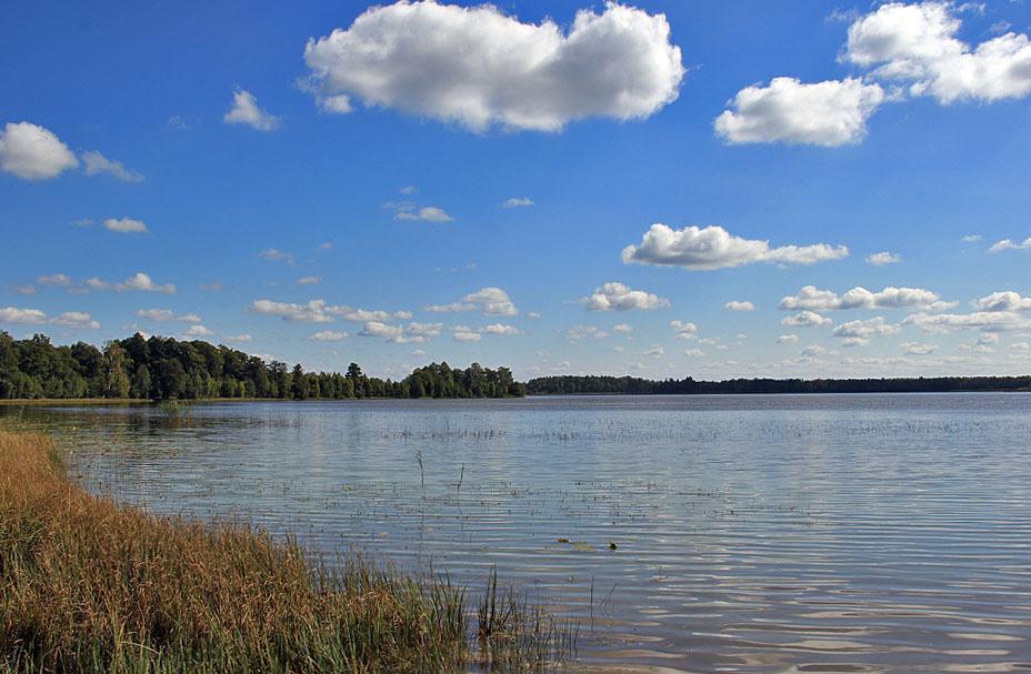 Віл з panoramio.com - Вол