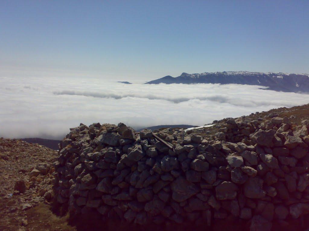 Розовий з panoramio.com (ч.2) - Розовий