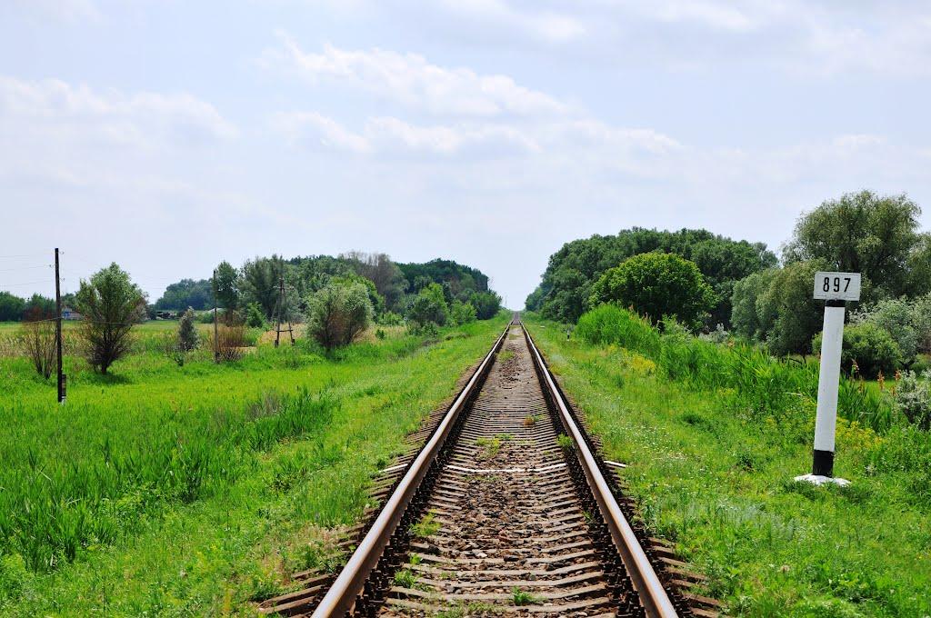 Шульгинка з panoramio.com - Shulgynka