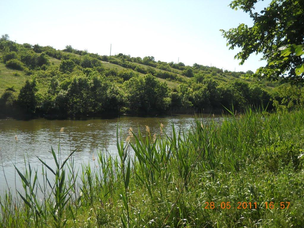 Білоусове з panoramio.com - Белоусово