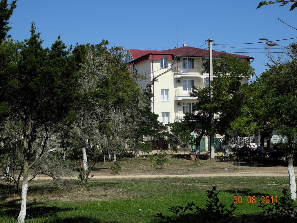 Берегове з panoramio.com - Берегове