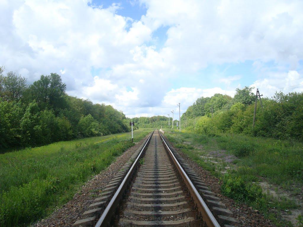 Балакири з panoramio.com - Балакиры