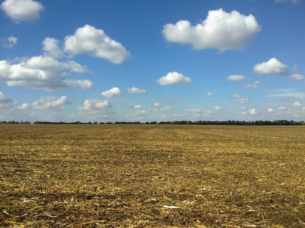 Павлівка з panoramio.com - Павлівка