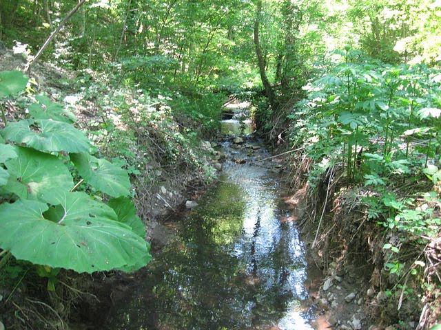Краснокам'янка з panoramio.com - Краснокаменка