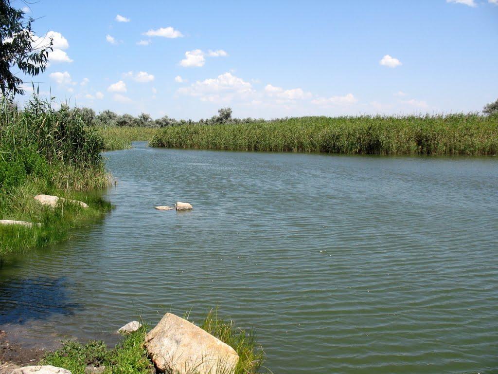 Широчани з panoramio.com - Широчани