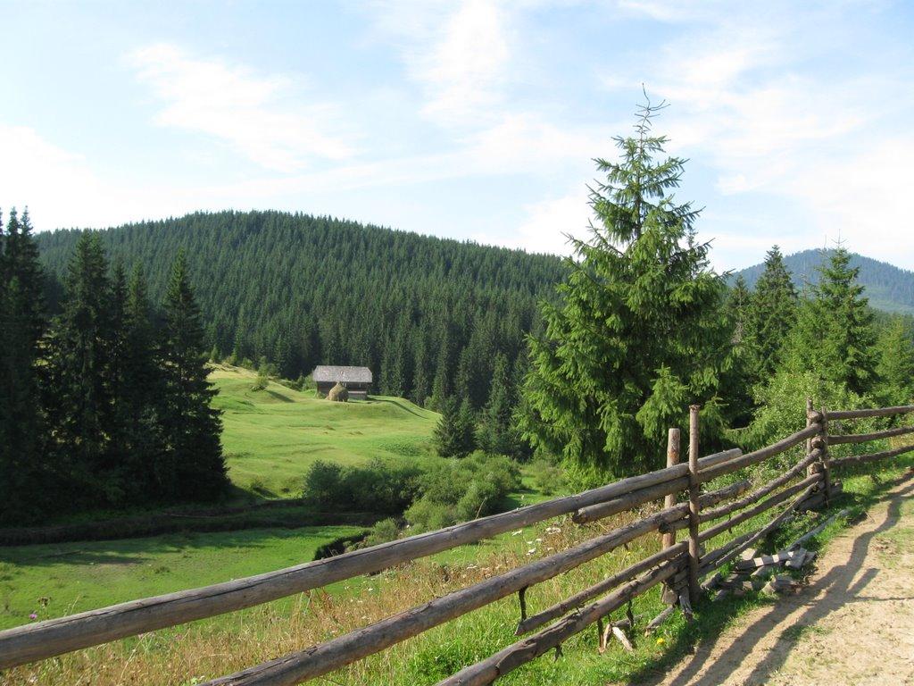 Береги з panoramio.com - Береги