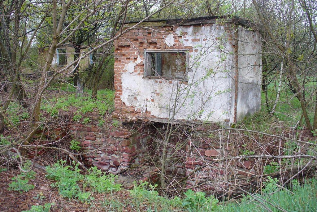 Малахівка з panoramio.com - Малахівка