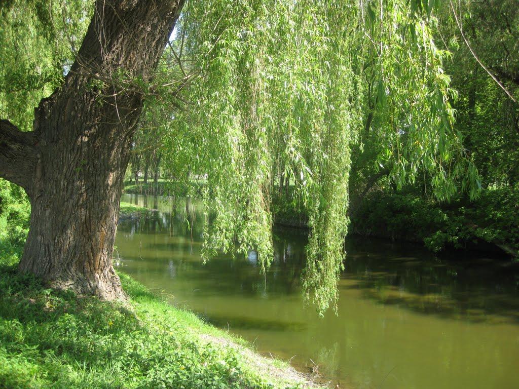 Хмільник з panoramio.com - Хмельник