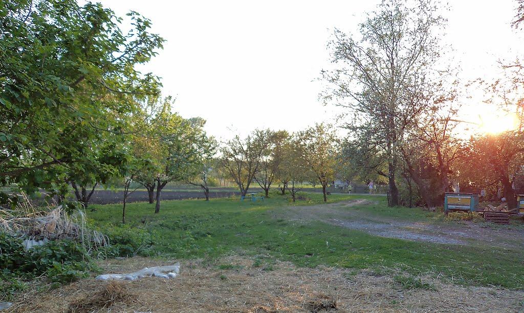 Оленівка з panoramio.com - Оленівка