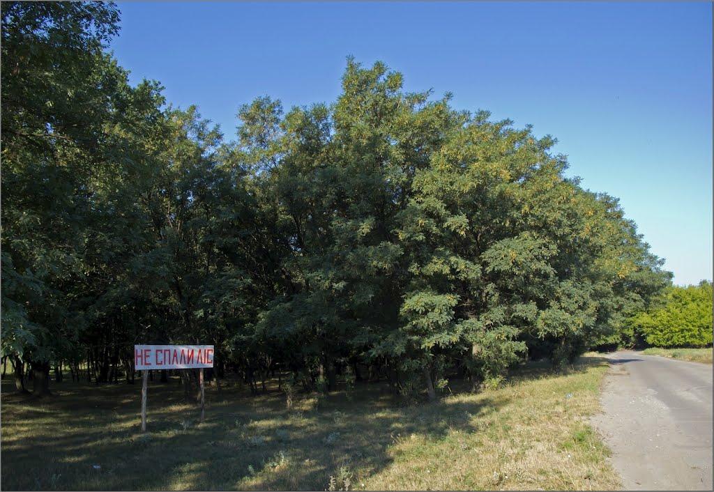 Інгулець з panoramio.com - Інгулець