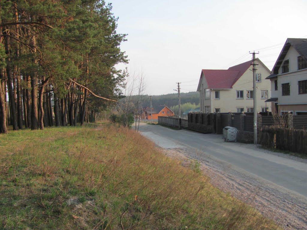 Юрівка з panoramio.com - Юровка