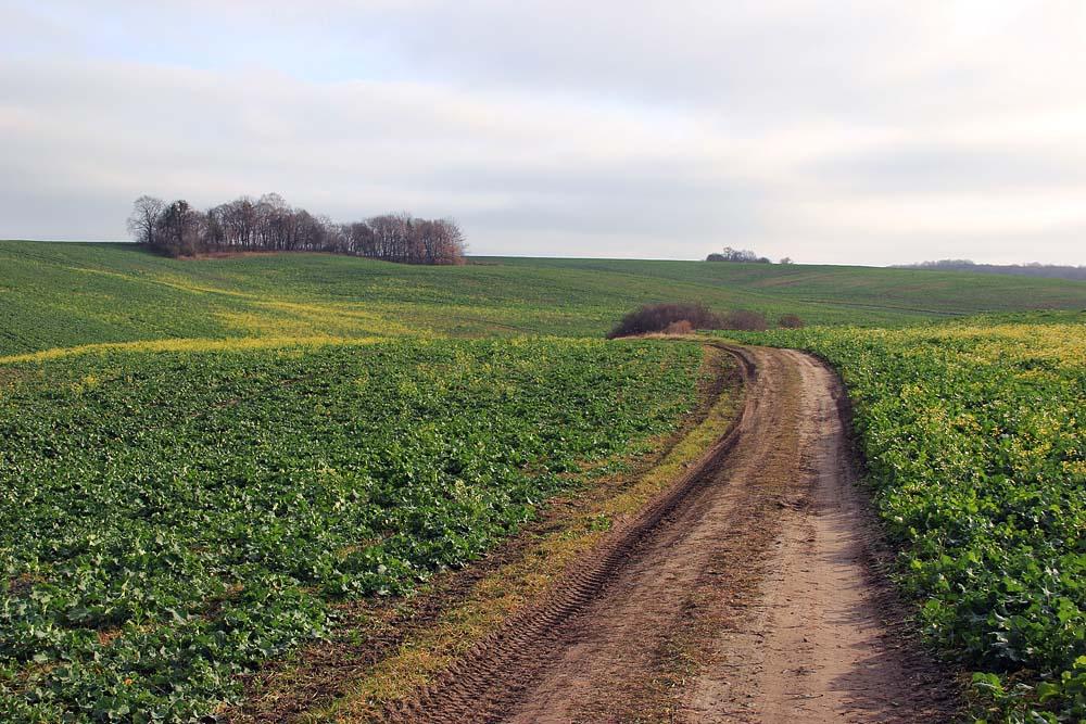 Смордва з panoramio.com - Смордва
