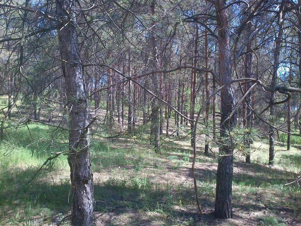 Орджонікідзе з panoramio.com - Орджоникидзе