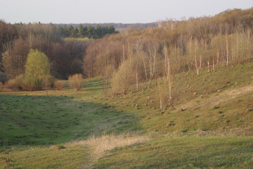 Черепин з panoramio.com - Черепин