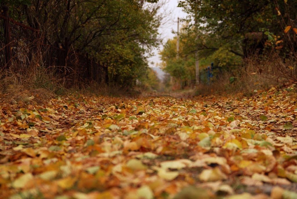 Балаклія з panoramio.com - Балаклея