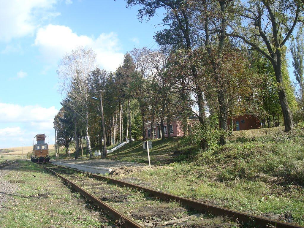 Климашівка з panoramio.com - Климашовка