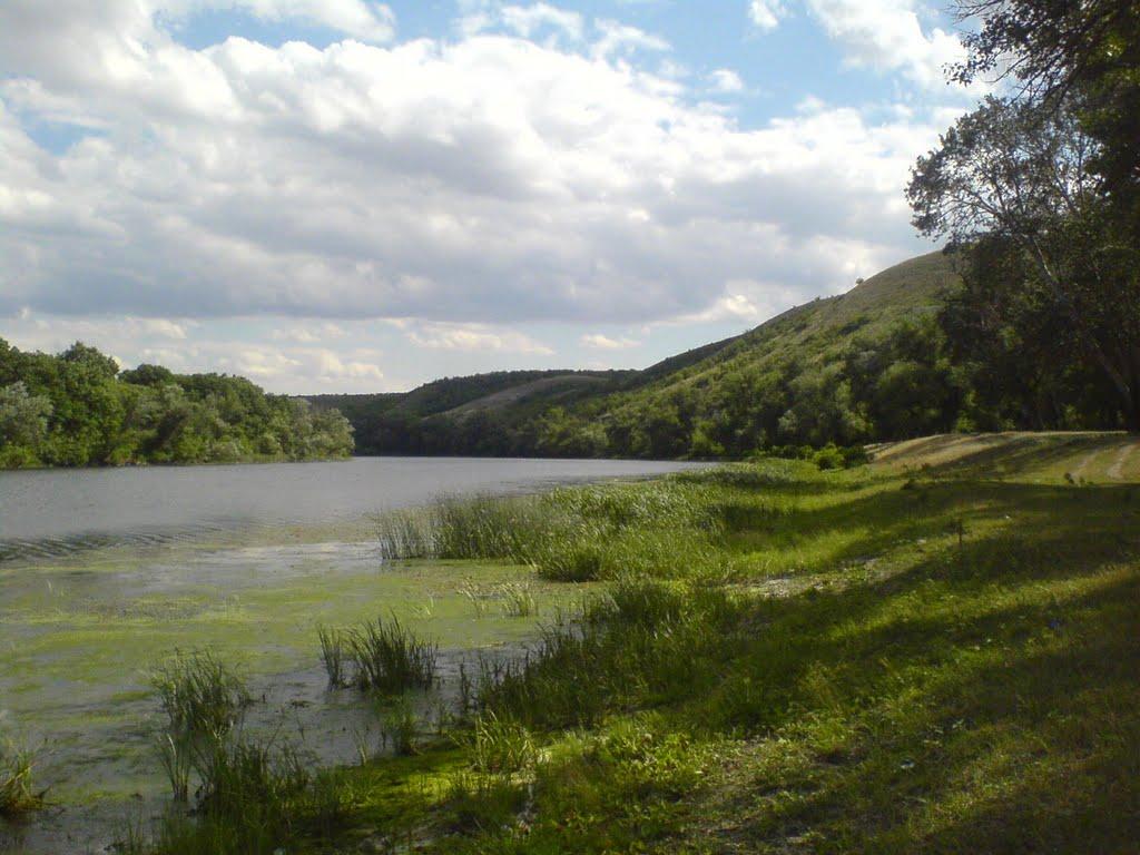 Давидо-Микільське з panoramio.com - Давыдо-Никольское