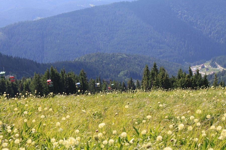 Тухля з panoramio.com - Тухля